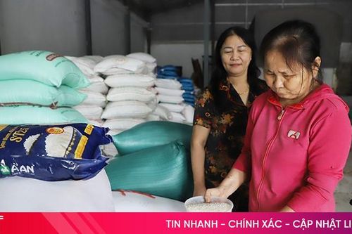 Giá gạo 'neo' cao gây khó cho người dân và cơ sở chế biến ở Hà Tĩnh