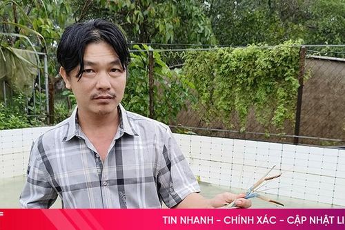 'Hồi sinh' ao hồ tự nhiên, nuôi tôm càng xanh cho lợi nhuận cao