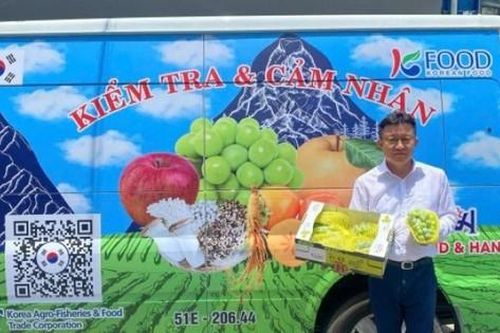 Tại sao nho Mẫu Đơn Hàn Quốc an toàn?