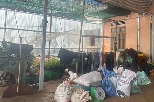 Xác minh vụ người dân trình báo mất trộm hơn 600kg cà phê tươi