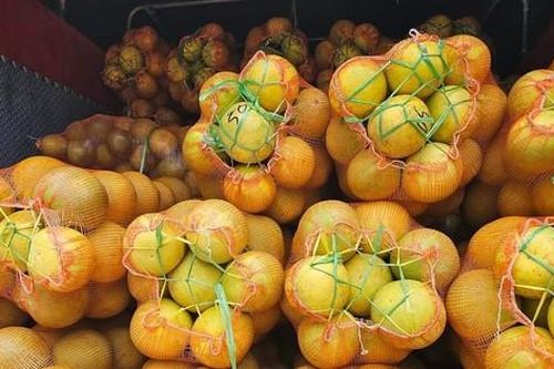Người dân đổ xô tìm mua loại bưởi ngon, bổ, rẻ hơn cả hàng Trung Quốc