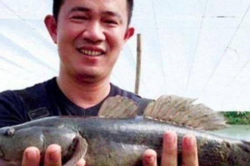 Đổi đời nhờ nuôi 'vàng dưới nước', đầu tư 1 mà kiếm gấp hàng chục lần