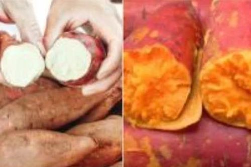 Khoai lang cũng có 'khoai lang đực' và 'khoai lang cái', củ nào ngon hơn? Lão nông dạy 3 mẹo nhỏ, khoai lang mua về sẽ mềm và ngọt