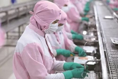 Xuất khẩu sang Anh: Giải 'bài toán' thương hiệu để nâng cao thị phần
