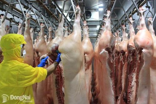 Đồng Nai phát triển công nghiệp giết mổ sản phẩm chăn nuôi hiện đại