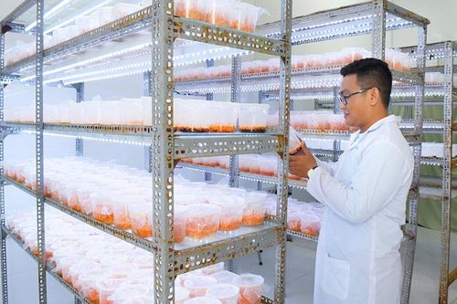 Phát triển khoa học công nghệ và đổi mới sáng tạo: động lực thúc đẩy kinh tế - xã hội