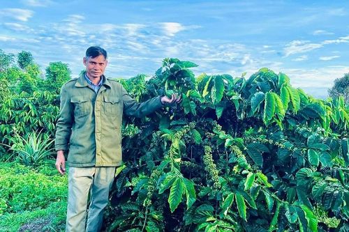 Rơ Châm Pyik: Điển hình sản xuất kinh doanh giỏi