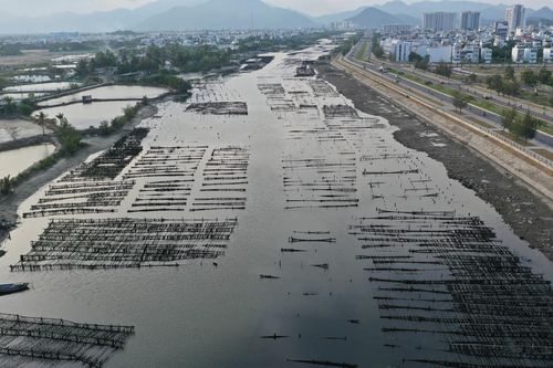 UBND TP. Nha Trang chỉ đạo xử lý dứt điểm tình trạng tái lấn chiếm mặt nước để nhử vẹm trên sông Tắc, sông Quán Trường