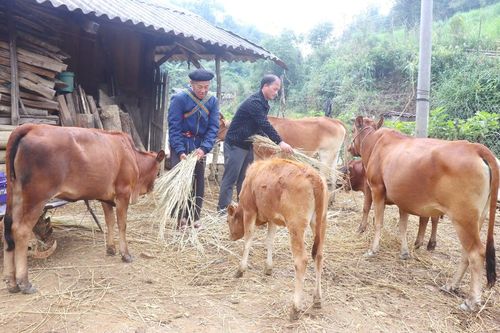 Kỳ 2: 'Thay da đổi thịt' nơi vùng đất khó