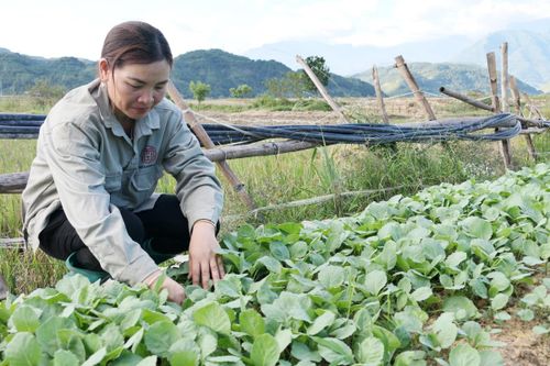 Chi hội trưởng gương mẫu, đi đầu