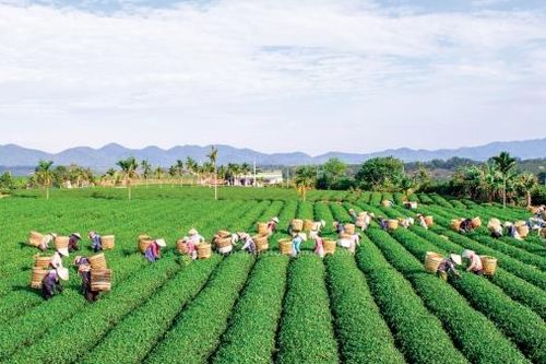 Văn, thơ viết về vùng đất Bảo Lâm