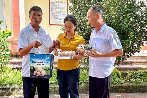 Hướng đến sản xuất nông nghiệp bền vững