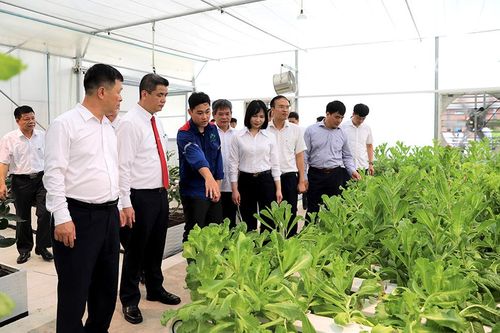 Vườn thực nghiệm Supe Lâm Thao