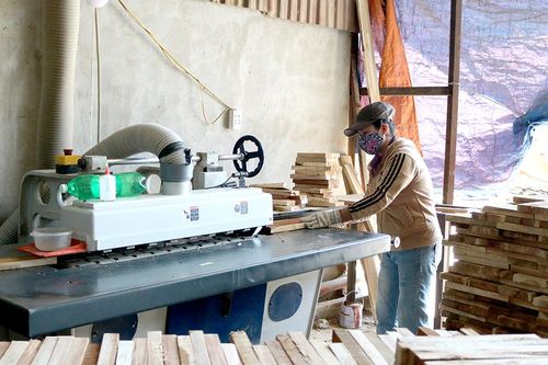 Phát triển chế biến gỗ theo chiều sâu
