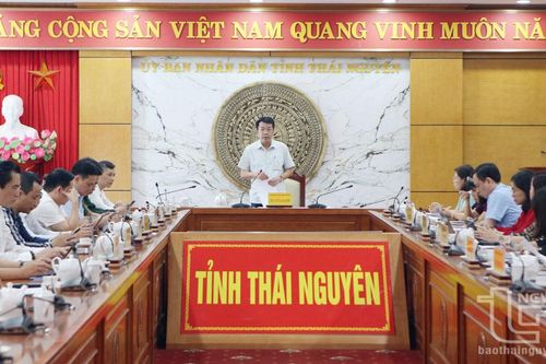 Tổ giúp việc triển khai các nhiệm vụ đảm bảo đúng kế hoạch