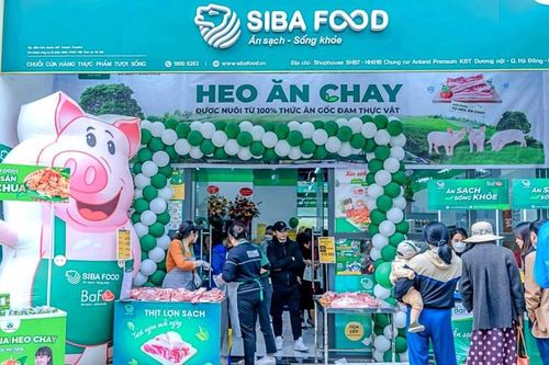 Quy mô đàn tăng trưởng nhanh, 'heo ăn chay' BaF Việt Nam (BAF) báo lãi tăng gấp 4,6 lần