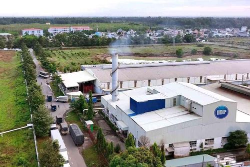 'Đổi tên, đổi vận' - Sữa Quốc tế (IDP) báo lãi cao nhất lịch sử