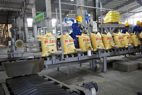 Vì sao việc áp thuế giá trị gia tăng 5% đối với phân bón nhận được sự đồng thuận lớn?