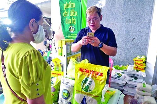 Giá gạo Việt với chính sách xuất khẩu của Ấn Độ