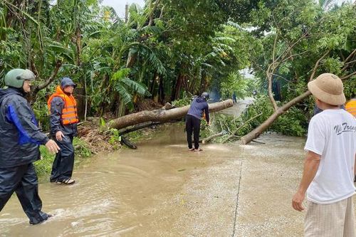Khẳng định vai trò lực lượng tham gia bảo vệ ANTT ở cơ sở