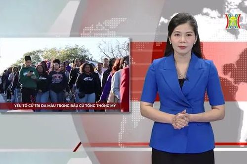 Yếu tố cử tri da màu trong bầu cử Tổng thống Mỹ | Nhìn ra thế giới | 31/10/2024