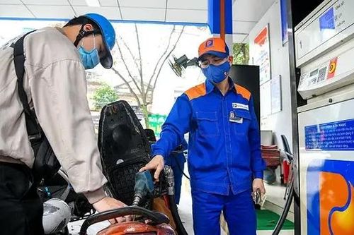 Lợi nhuận Petrolimex giảm hơn 90% trong quý 3