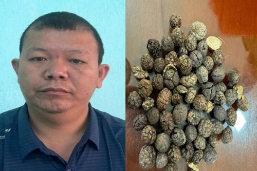 Bắt tạm giam đối tượng buôn lậu 17 tấn dược liệu