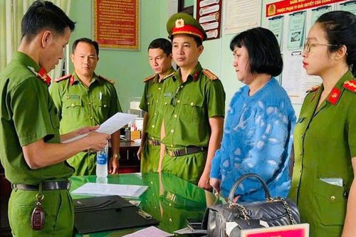 Vì sao cựu Tổng giám đốc Công ty cổ phần Bách Đạt An bị khởi tố ?