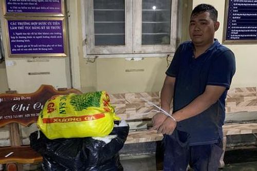 Bắt quả tang hai đối tượng trộm cắp tài sản
