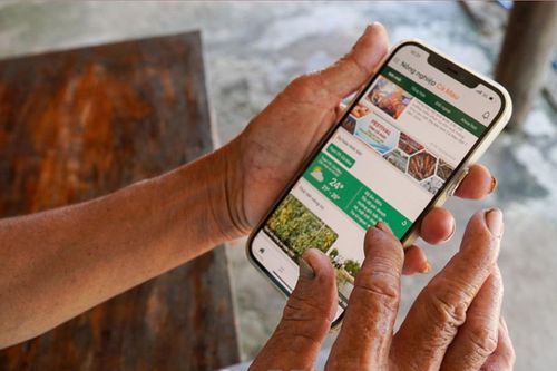 Phần mềm Nông nghiệp Cà Mau: Công cụ hỗ trợ hiệu quả cho nông dân