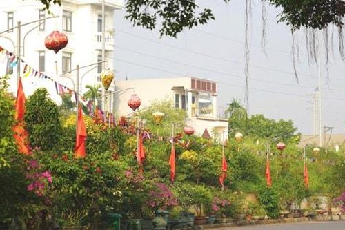 Ngỡ ngàng những con đường quê đẹp như tranh của Hà Nội