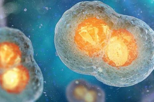 Đột phá trong ứng dụng liệu pháp tế bào và gen trong điều trị ung thư