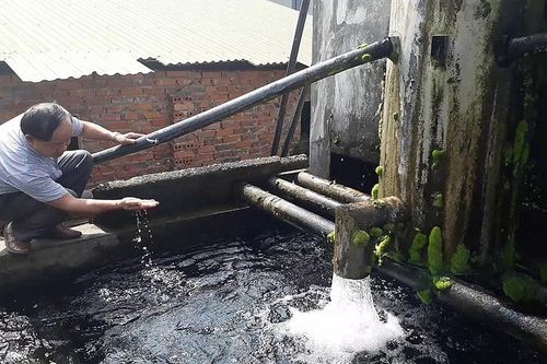 Công ty nước sạch Thanh Oai, Bò nhúng dấm 555 ở Giảng Võ, Thế giới hải sản ở Yên Hòa... bị phạt