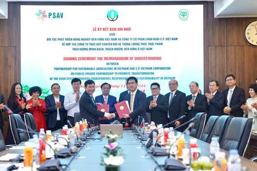 C.P. Việt Nam hợp tác công tư thúc đẩy chuyển đổi hệ thống lương thực, thực phẩm