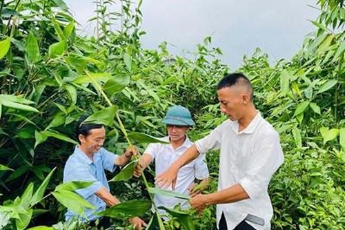 Xứng đáng người cán bộ 'dân tin, Đảng cử'