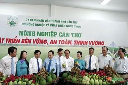 Khai mạc Hội chợ Nông nghiệp Quốc tế Việt Nam tại Cần Thơ