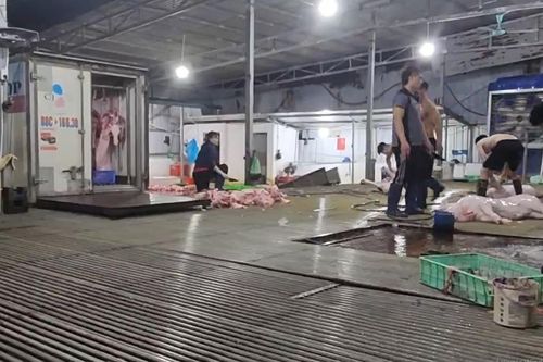 Thường Tín (Hà Nội): Loạn lò mổ gia súc tại xã Khánh Hà