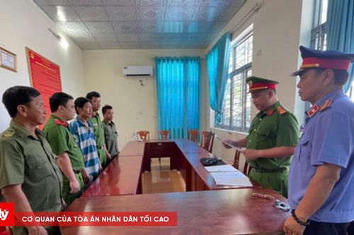 Bắt tạm giam 3 đối tượng bán đất rừng phòng hộ