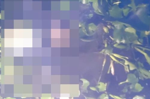 Bé trai 3 tuổi tử vong dưới kênh ở Long An