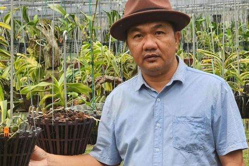 Anh chủ vườn Bình Dương và bí quyết kinh doanh 'đường dài' với hoa lan