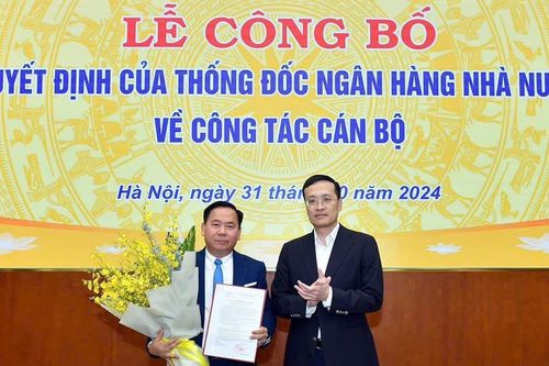 Giao quyền Chánh Thanh tra, giám sát Ngân hàng Nhà nước