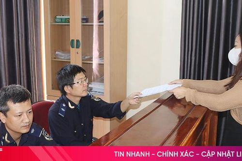 Hải quan Hà Tĩnh thu ngân sách giảm so với cùng kỳ