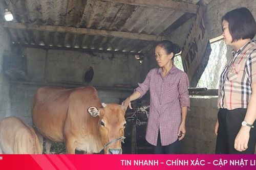Giảm nghèo ở Cẩm Xuyên: Khi 'cần câu' cho 'xâu cá'