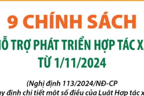 9 chính sách hỗ trợ phát triển hợp tác xã từ 1/11/2024