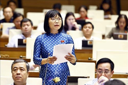 Kỳ họp thứ 8, Quốc hội khóa XV: Tránh việc tu bổ trở thành 'làm mới' di tích