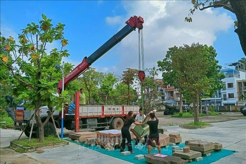 Bảo tàng lịch sử Thừa Thiên - Huế di dời hiện vật đến địa điểm mới