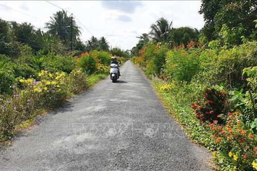 Công nhận xã An toàn khu, vùng An toàn khu tại 3 tỉnh
