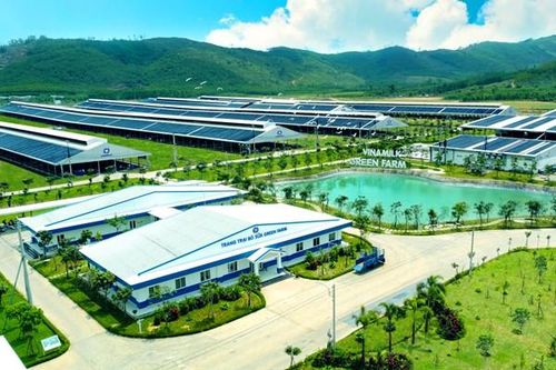 Mở lối xuất khẩu xanh để không bị loại khỏi cuộc chơi