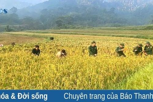 Bình yên cho những bản làng: Góp phần xây dựng bản, làng ấm no
