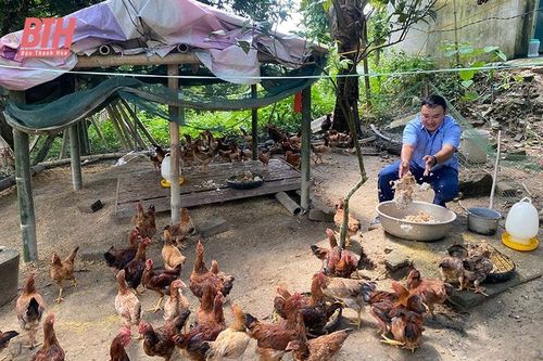 Tín hiệu tích cực từ những dự án giảm nghèo